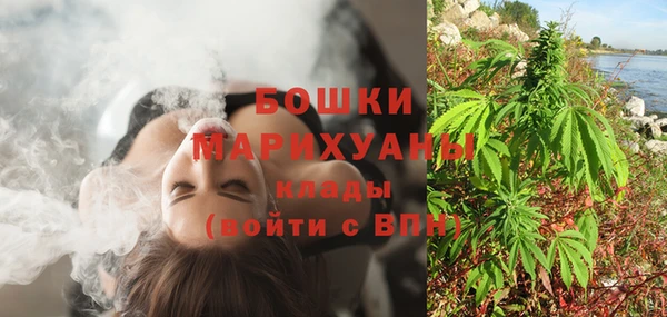 ALPHA PVP Краснослободск
