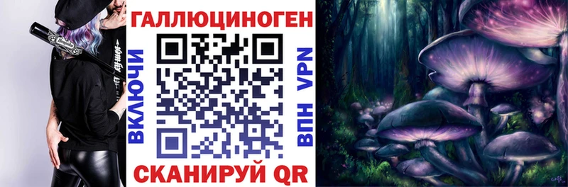 Псилоцибиновые грибы мицелий Новая Усмань